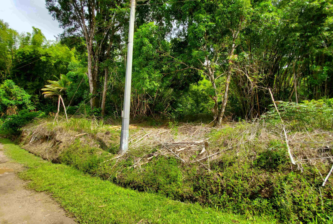 Blanchisseuse Land