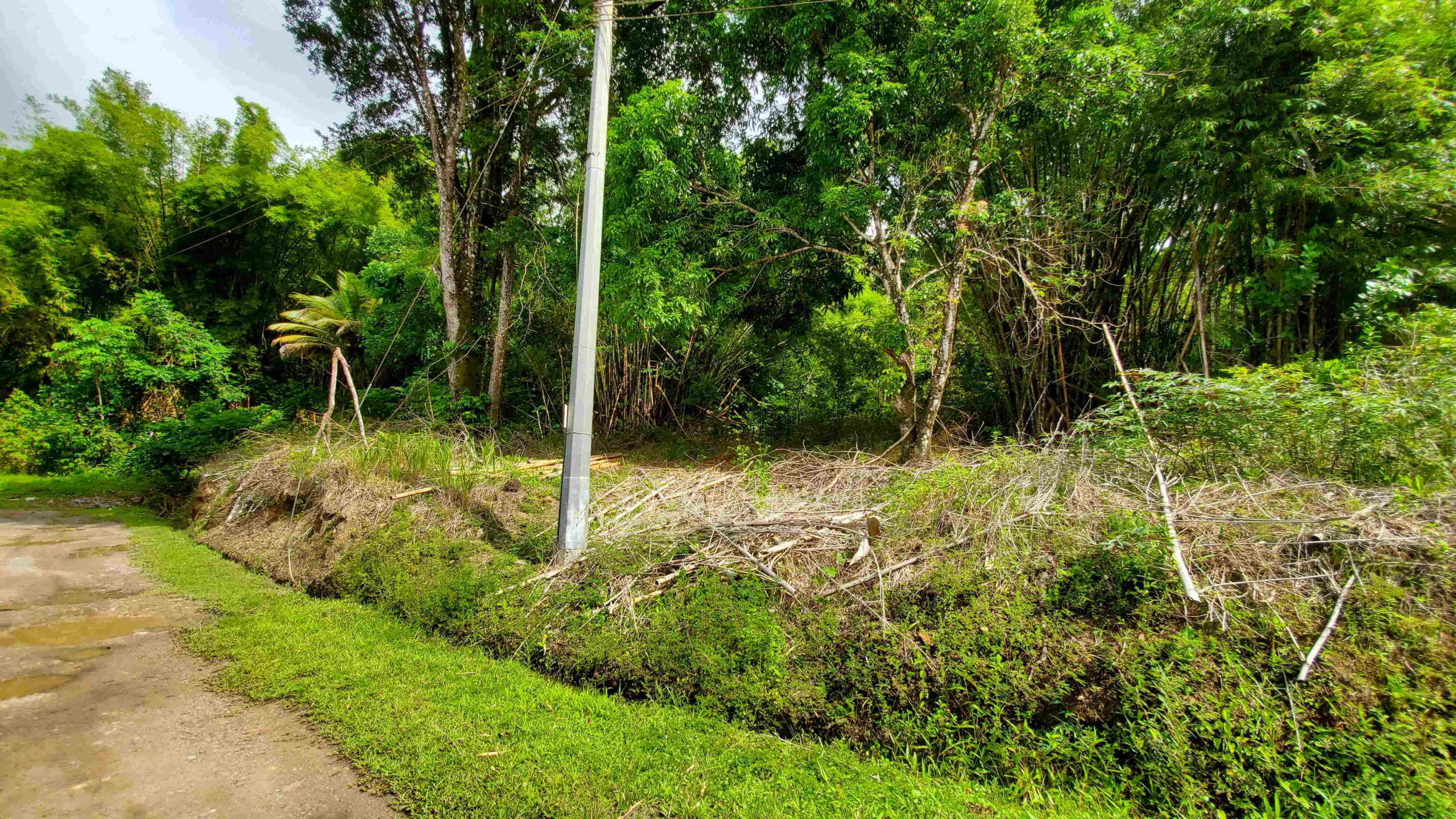 1 Trinidad Blanchisseuse Paria Main Rd 6 & 7 Land Blanchisseuse Land
