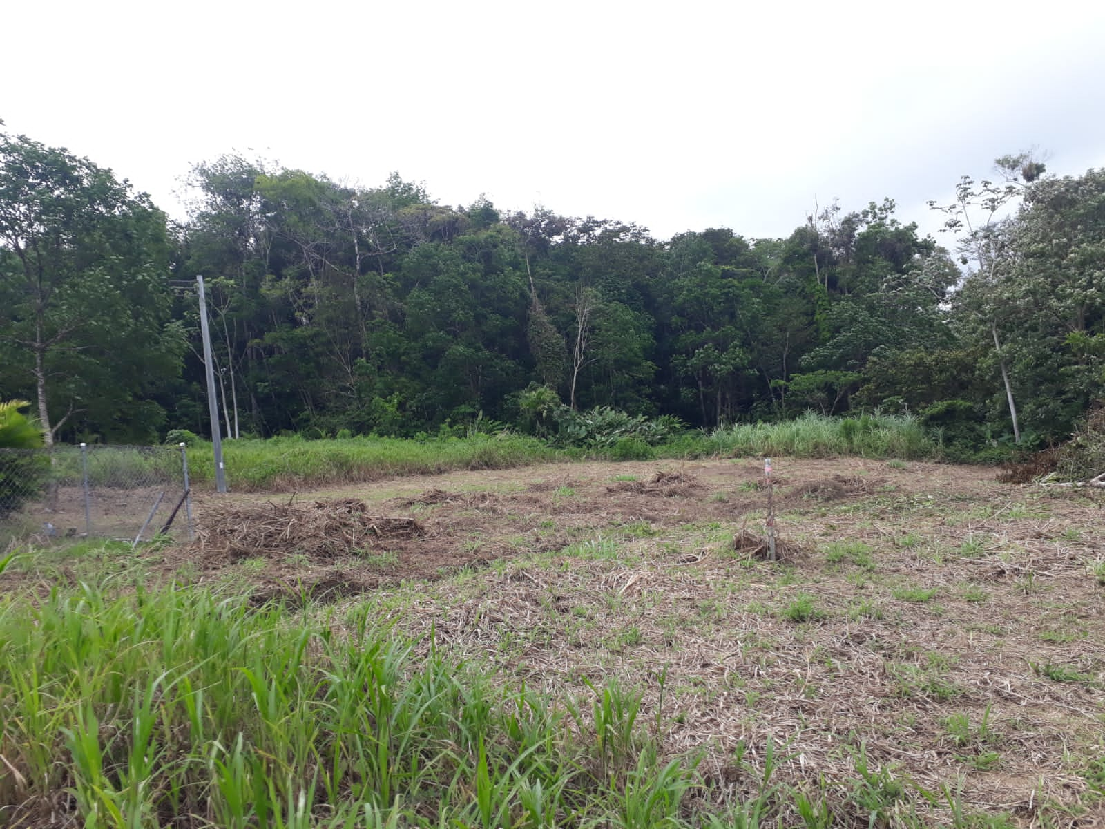 Sangre Grande Land Lot 24