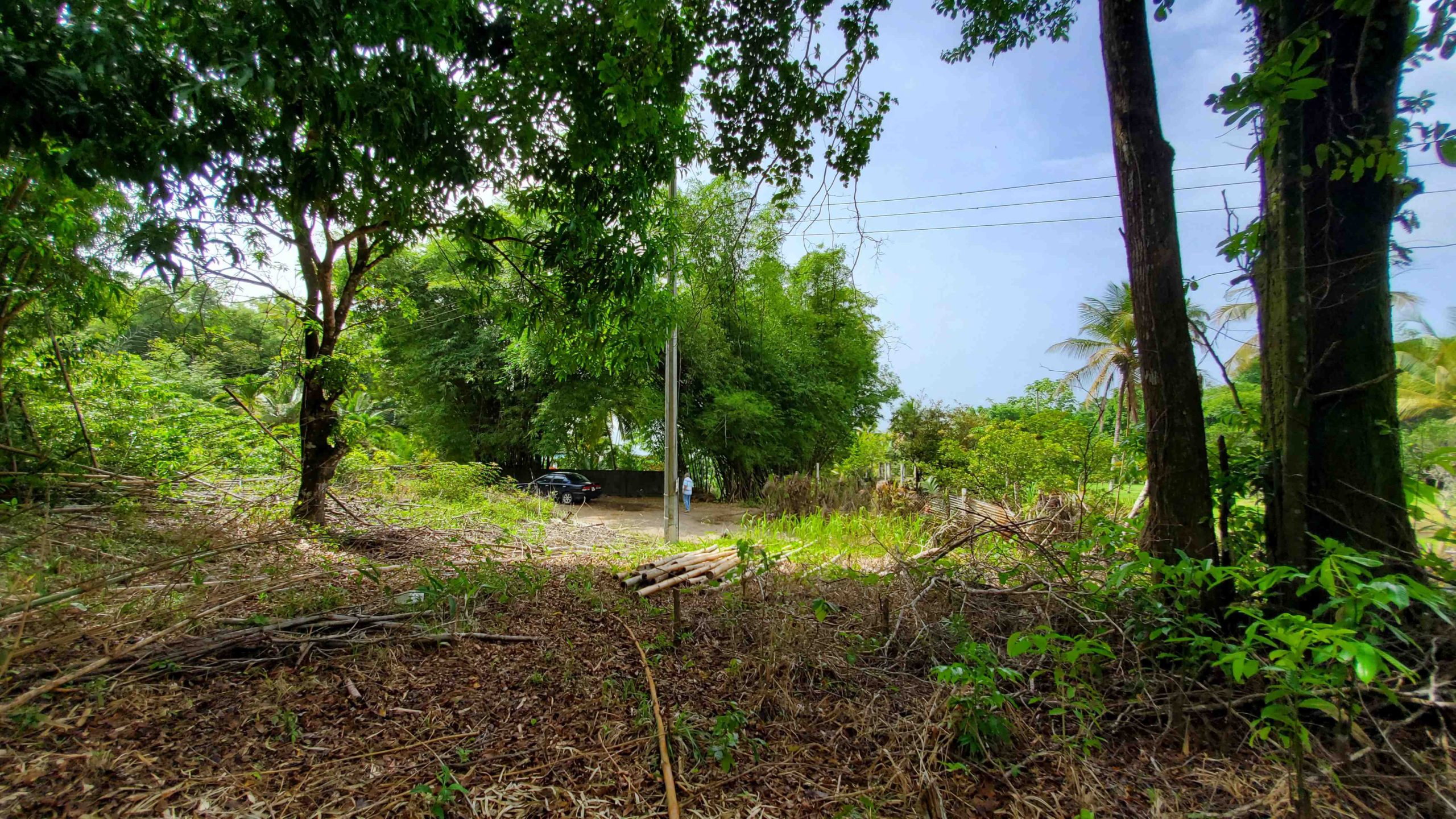 Blanchisseuse Land