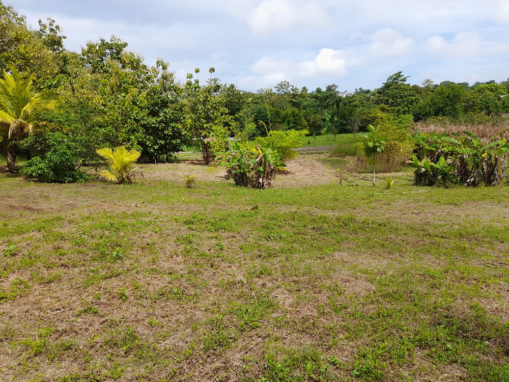Rousillac Land Lot 2