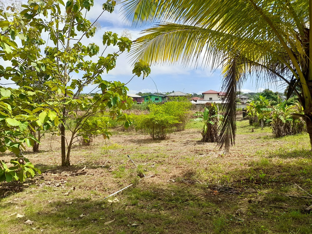Rousillac Land Lot 2
