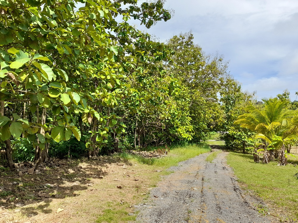 Rousillac Land Lot 2