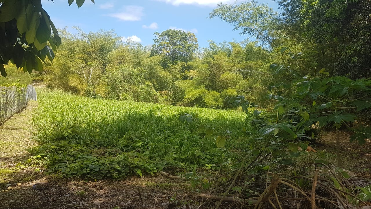 Gran Couva Land