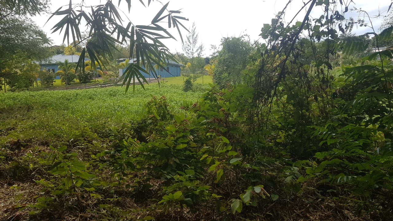 Gran Couva Land