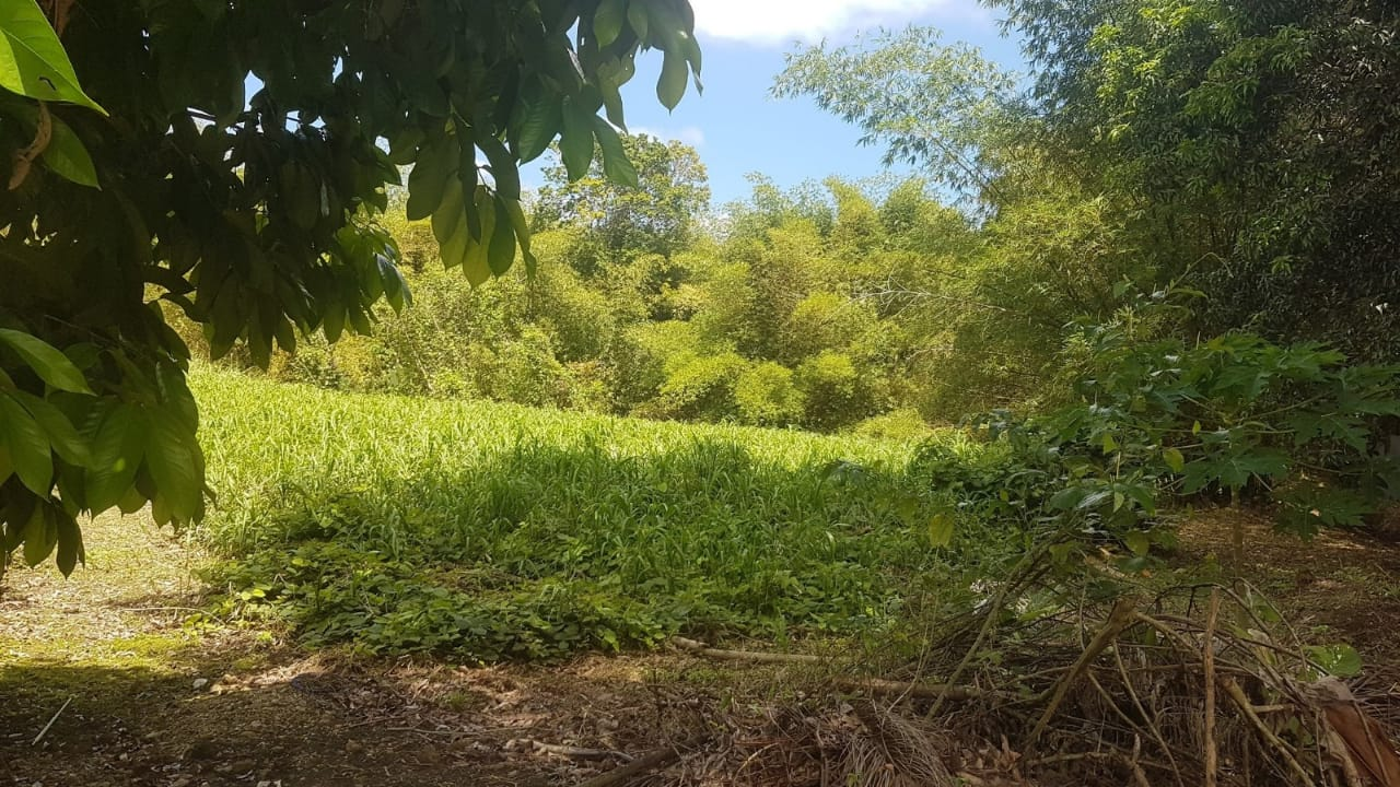 Gran Couva Land