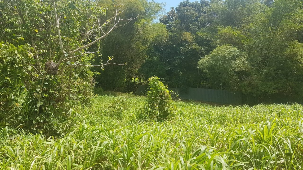 Gran Couva Land