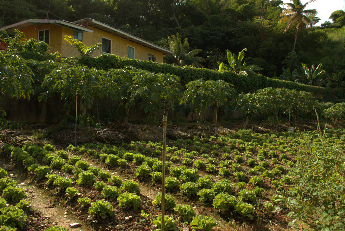 1170