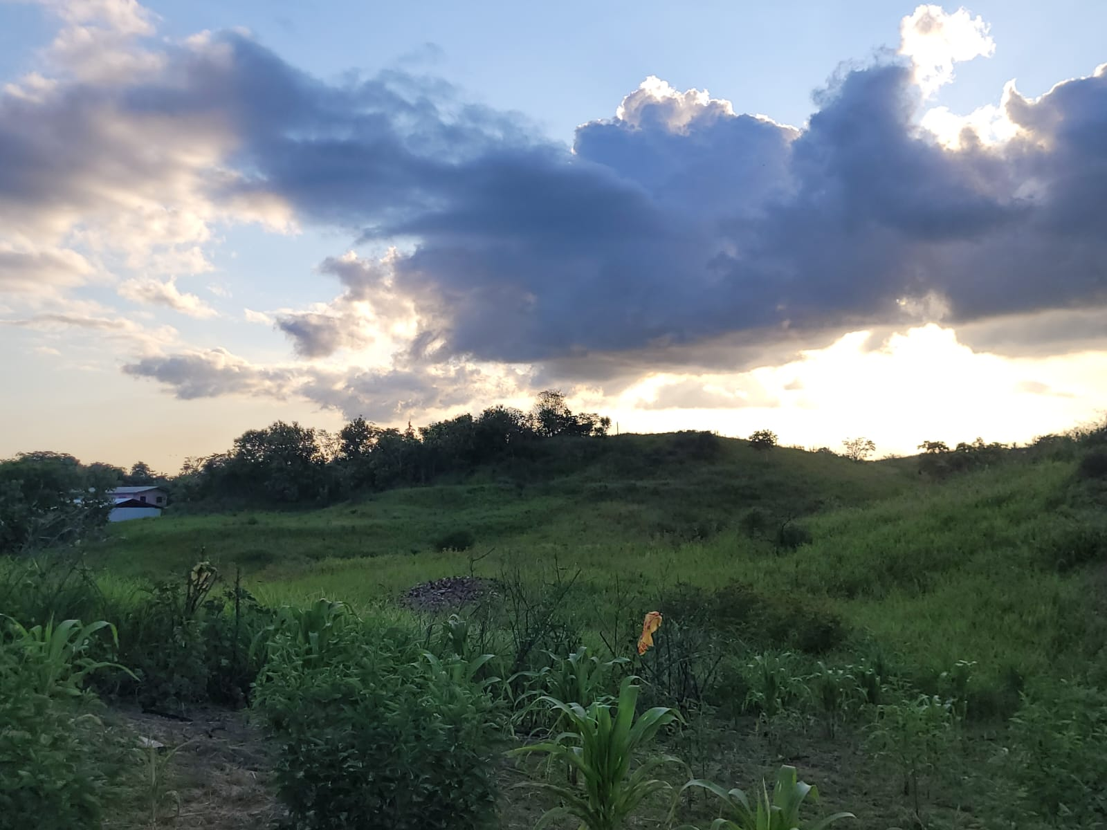 Barrackpore Property