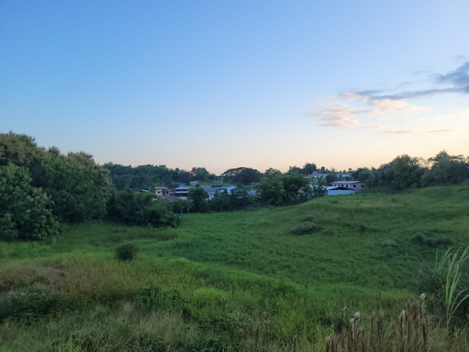 Barrackpore Property