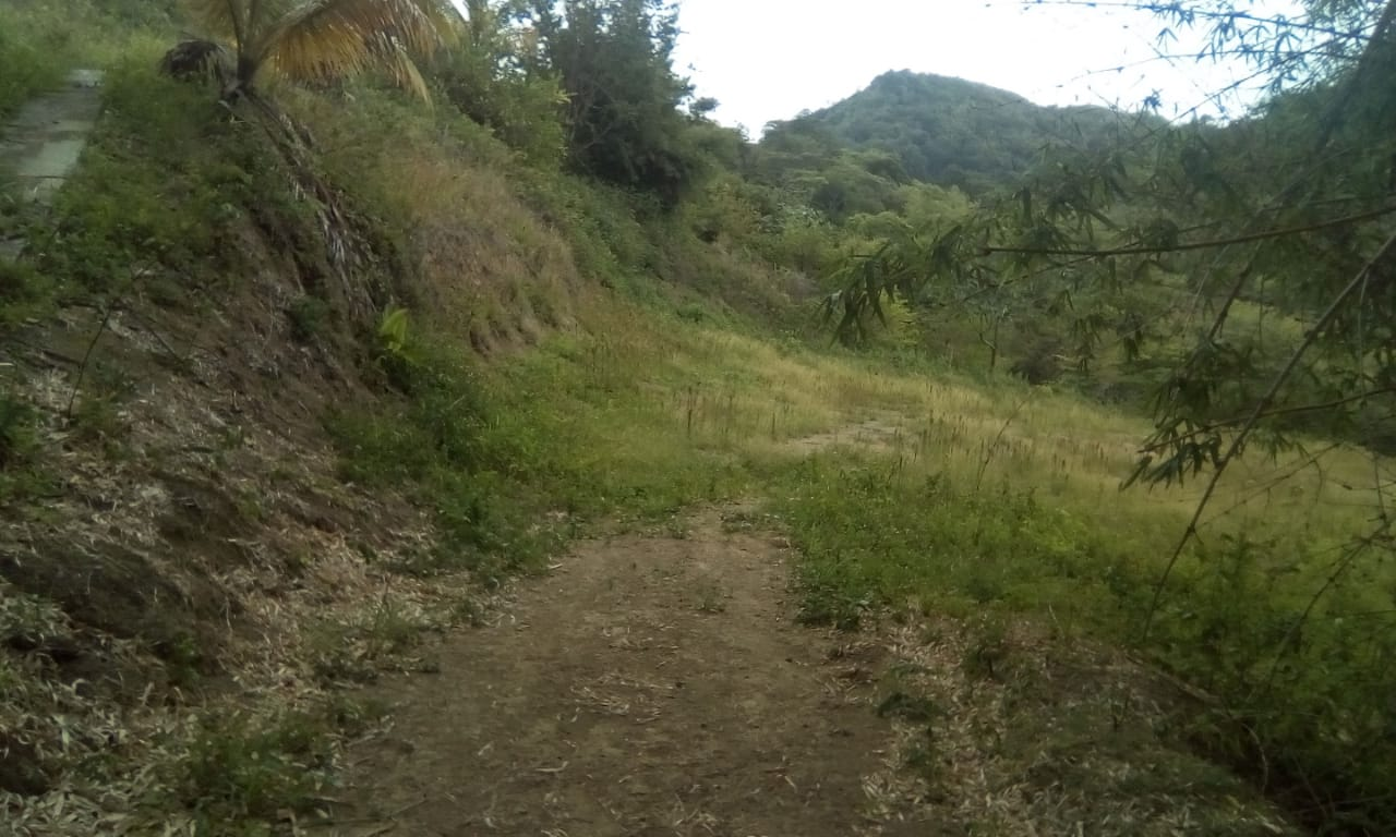 Tobago Runnemede Land Lot T3