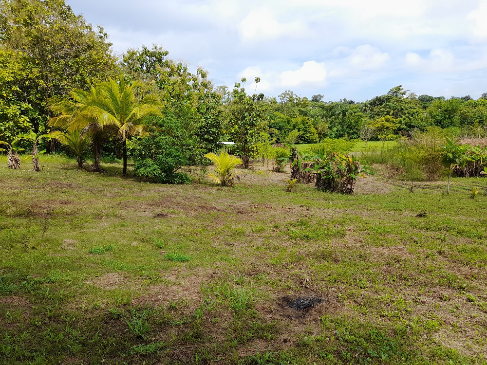 3 Trinidad Rousillac SMR LP 1447 Lot B Lot 5 Rousillac Land Lot 5