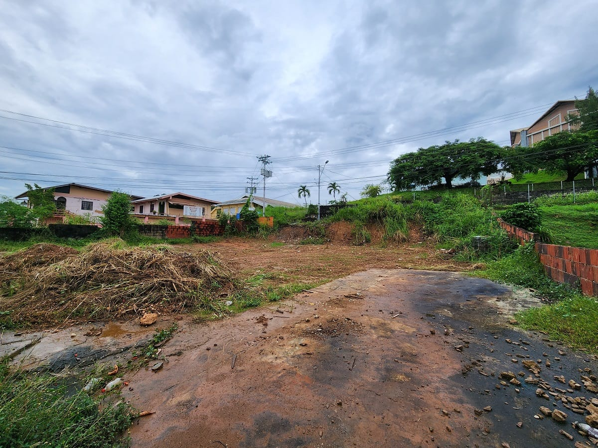 Barataria Land