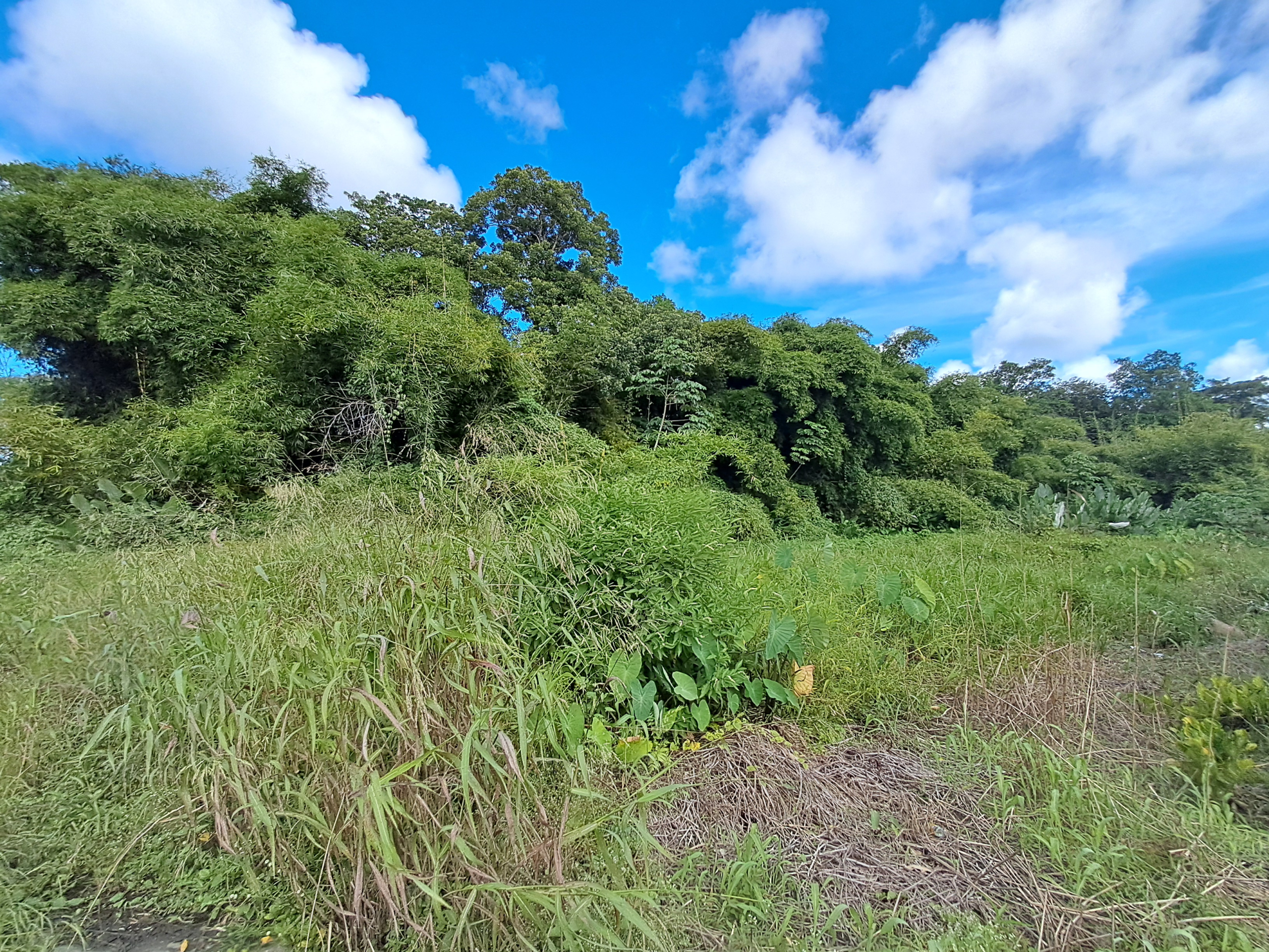 20250727_144655 Sangre Grande Land