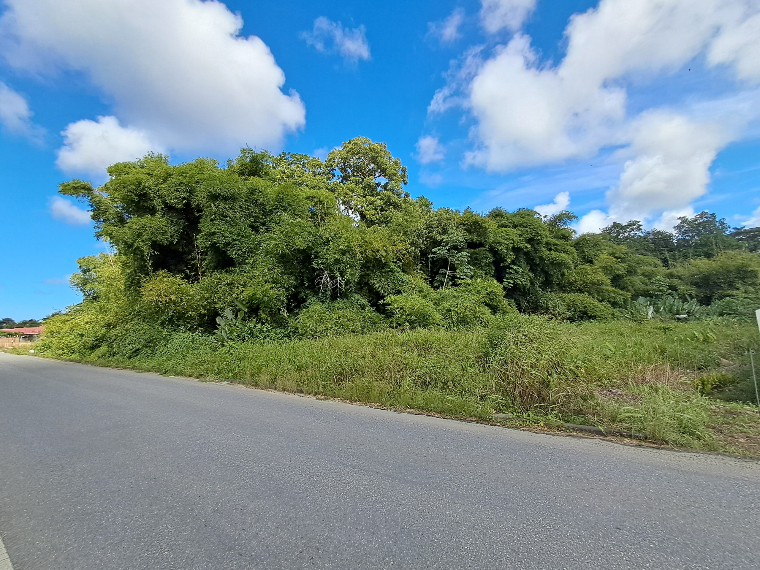 Sangre Grande Land