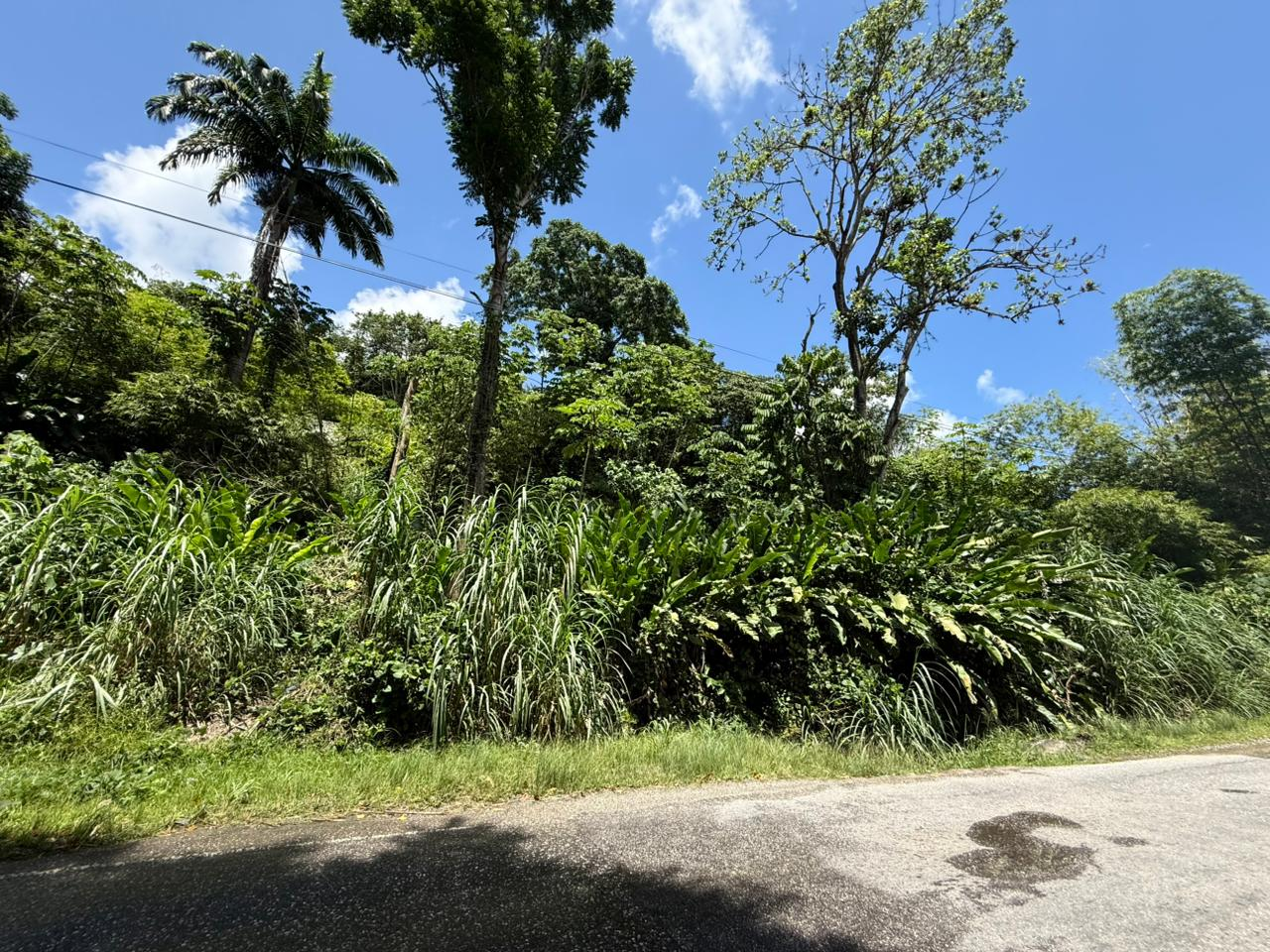 Arima Land Lot A