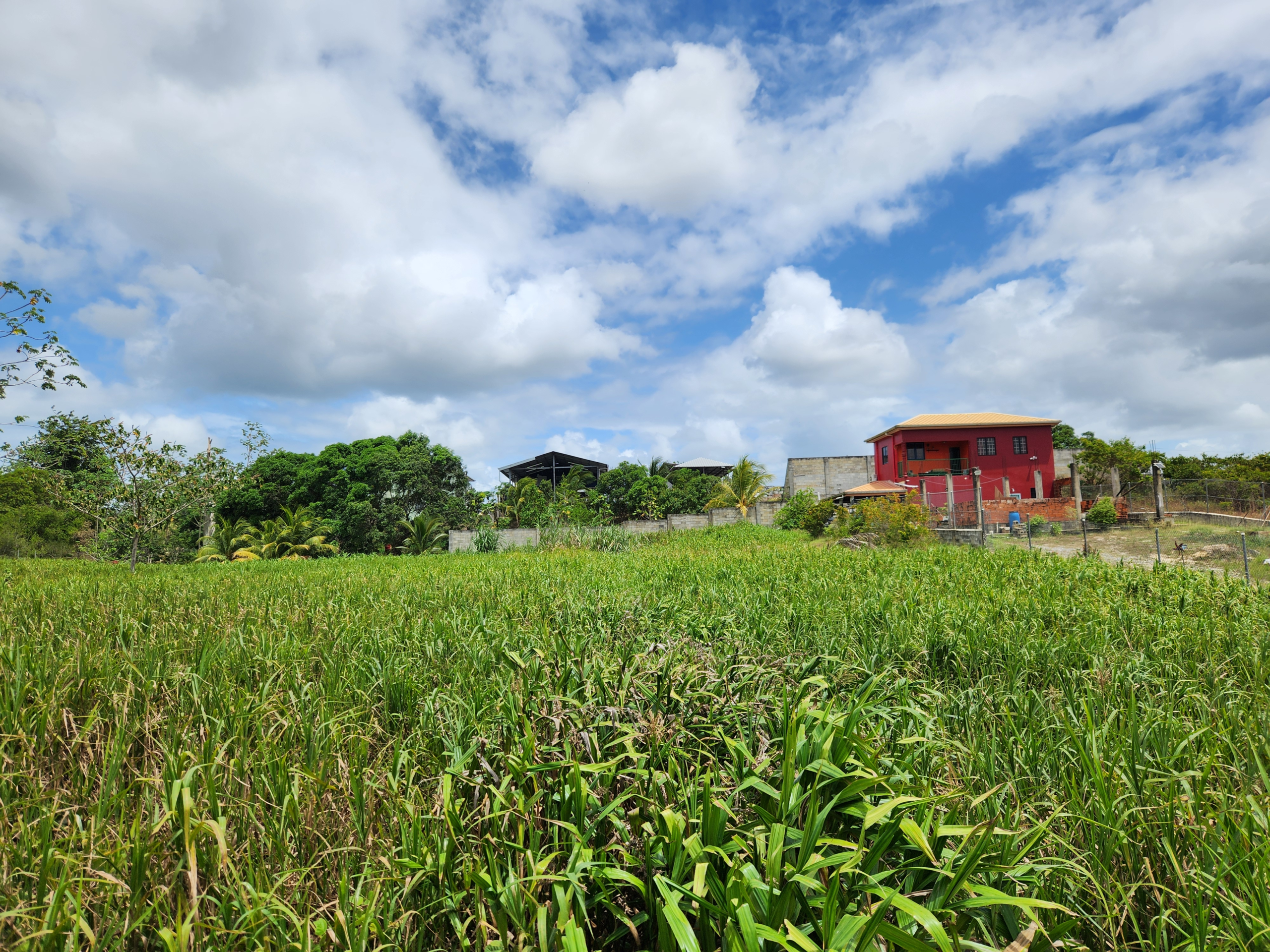 Cunupia Land
