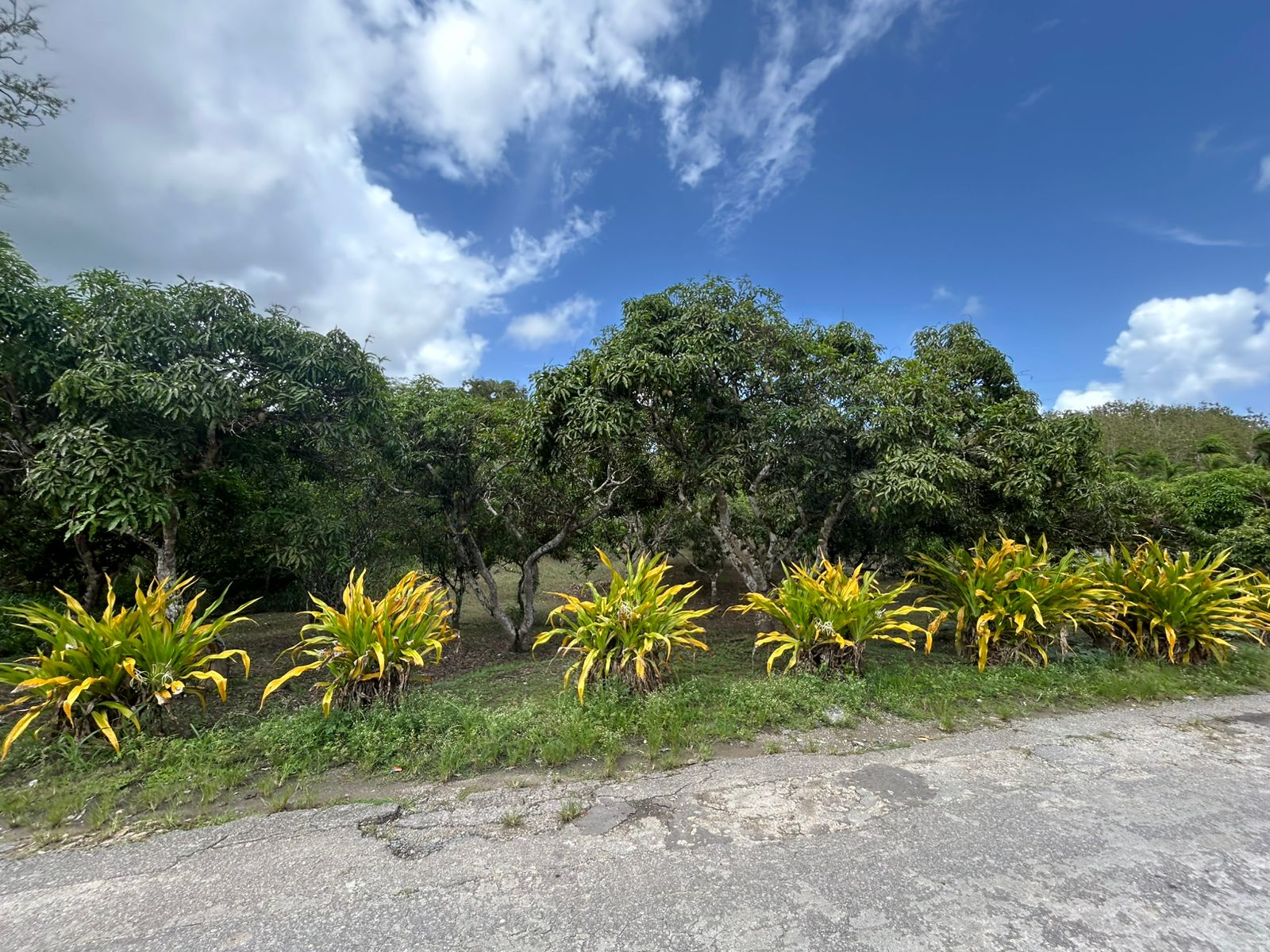 Moruga House and Land