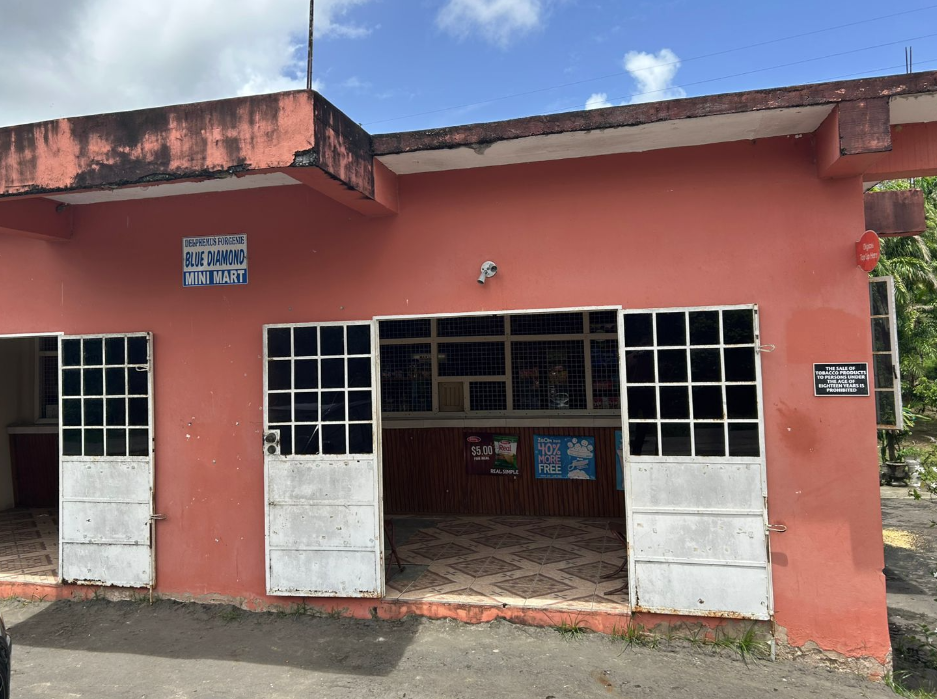 Moruga House and Land